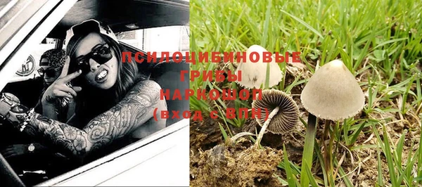 тгк Инсар