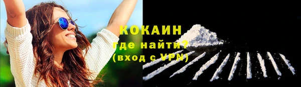 сатива Инта