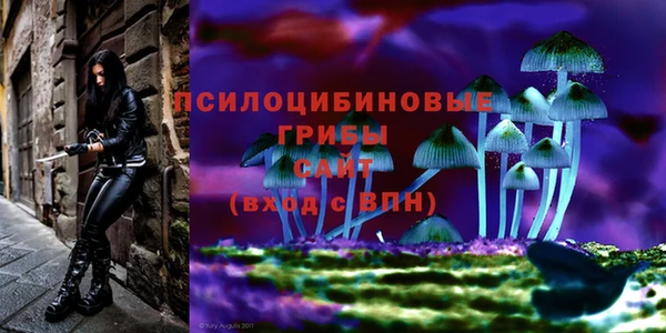 мескалин Каменка