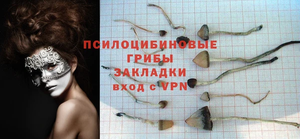 тгк Инсар